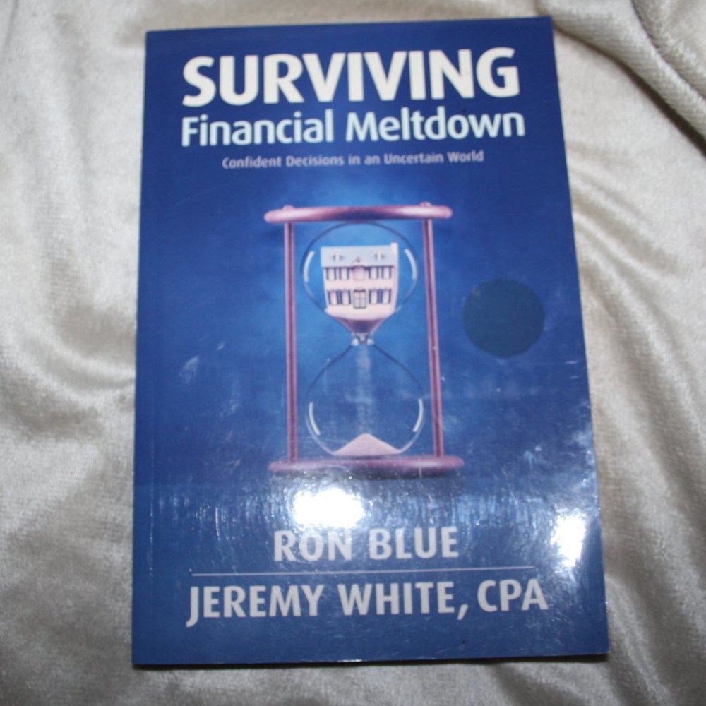 📘💼📉 Surviving Financial Meltdown · 1995 Book · Economic Insight (b.j.)